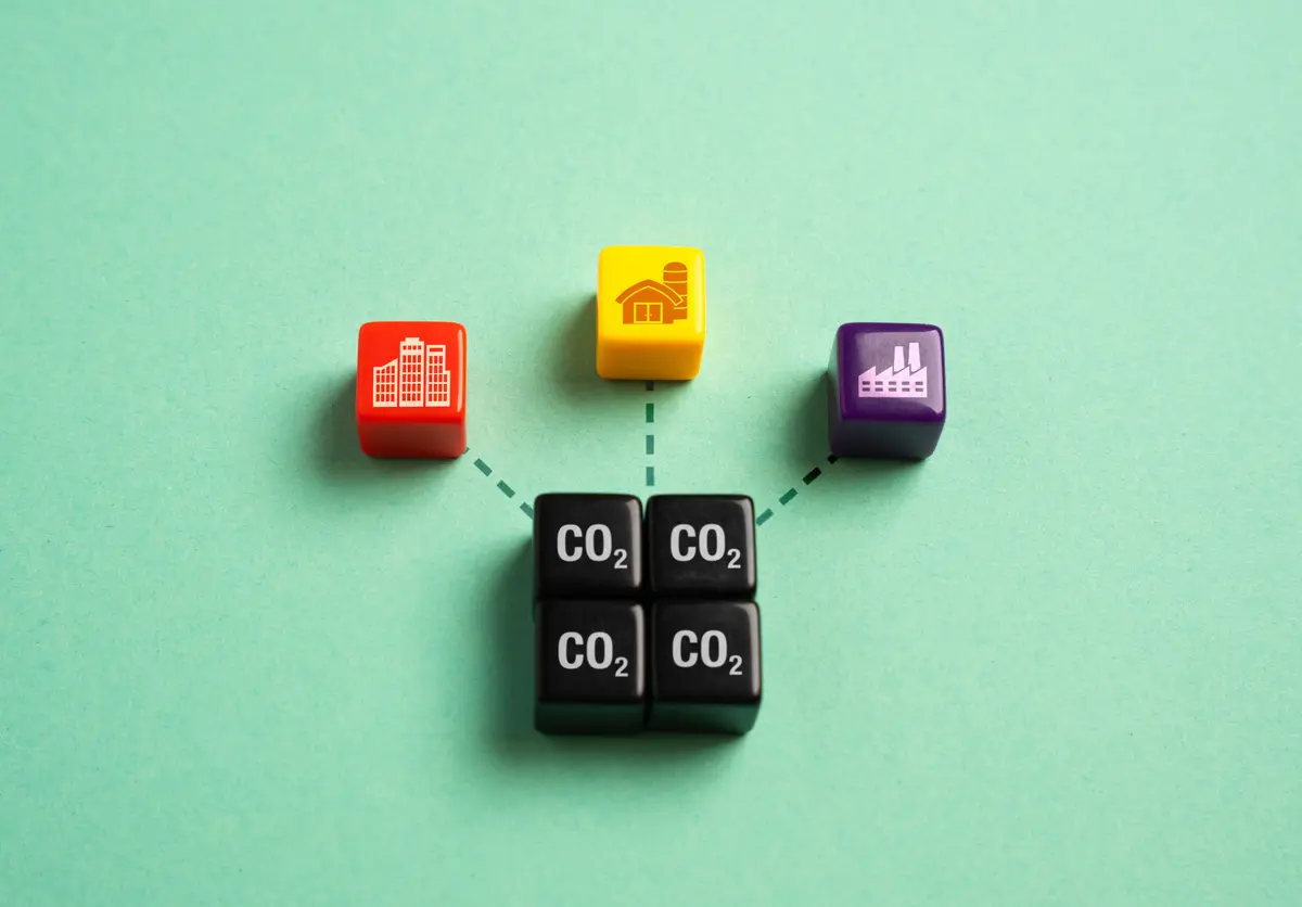 carbon3.jpg